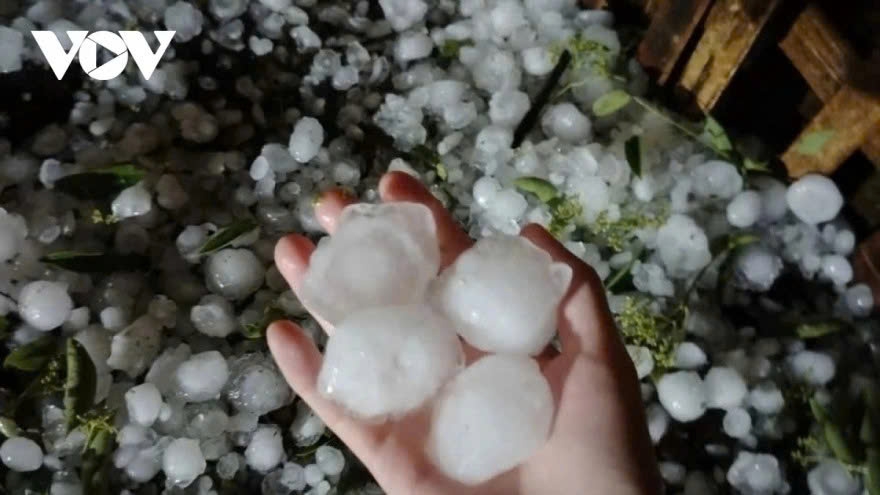 Weather changes trigger unseasonal hailstorms in Northern Vietnam: expert